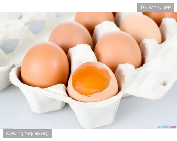 南宫NG国际首页玩家交流社区汇聚众多游戏高手分享实用技巧与经验心得